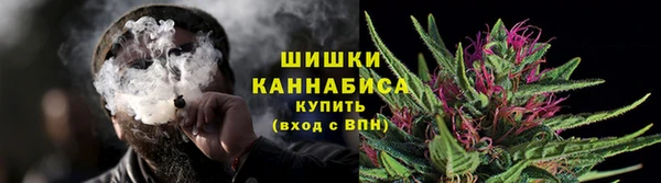 ГАЛЛЮЦИНОГЕННЫЕ ГРИБЫ Пересвет