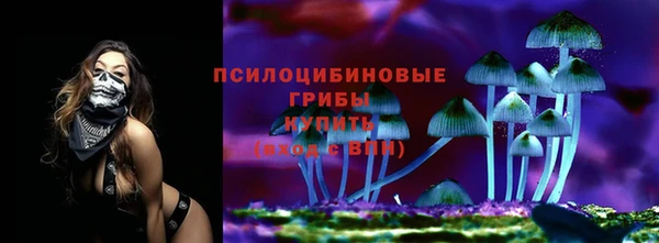 ГАЛЛЮЦИНОГЕННЫЕ ГРИБЫ Пересвет