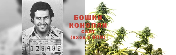 ГАЛЛЮЦИНОГЕННЫЕ ГРИБЫ Пересвет