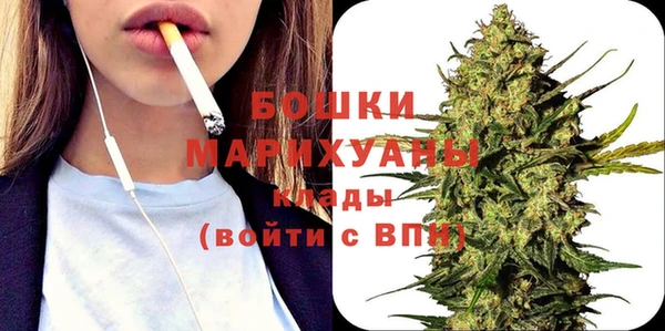 ГАЛЛЮЦИНОГЕННЫЕ ГРИБЫ Пересвет
