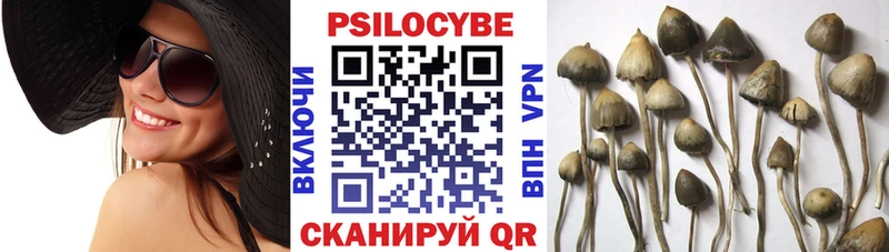 Галлюциногенные грибы ЛСД  купить закладку  Кулебаки 