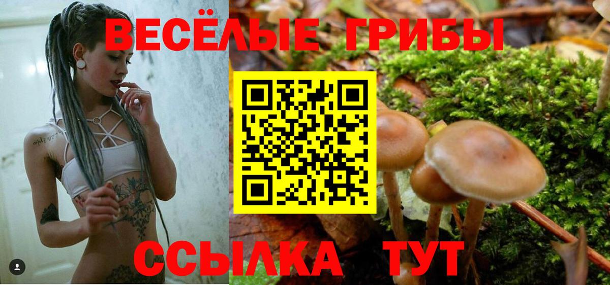 Кулебаки  Псилоцибиновые грибы Psilocybe  Вход с VPN 